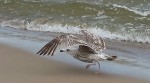 IMG_2055
