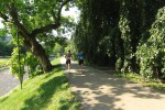 IMG_9665